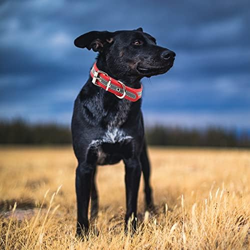 ABRRLO Deri köpek tasmaları Küçük Orta Büyük Köpekler için Erkek Kız Yansıtıcı Ayarlanabilir Pet Temel Yaka (Kırmızı, S