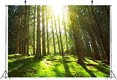 CORFOTO Kumaş 9x6ft Doğa Orman Zemin Tema Fotoğraf Dev Ağacı Kaya Yağmur Ormanları Yolu Bahar Manzara Arka Plan Dekor için