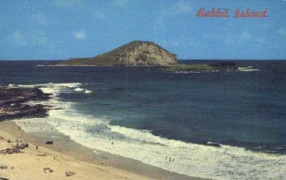Oahu, Hawaii Kartpostalı