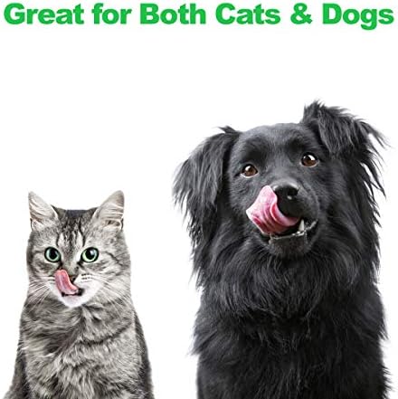 2 Yükseltilmiş Köpek Kasesi Seti - PETMAKER'IN Yükseltilmiş 3,5 inç Boyunda Dekoratif Standında Köpekler ve Kediler için