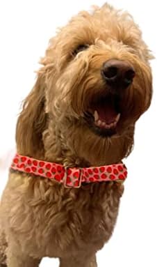 Gül Altın Tokalı Köpek Tasması (Avokado, Çilek, Arı) (Çilek, Küçük)