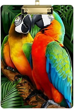 Glaphy Renkli Papağan Kuşları Pano Ofis Arkadaşları, Öğrenciler, Öğretmenler, Kadınlar ve Erkekler için A4 Harf Boyutunda