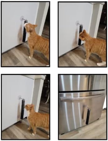 Kedi Scratcher Kedi Fırça Kedi Oyuncak Kedi Aksesuarları