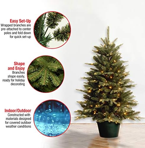 Ulusal Ağaç Şirketi Girişler için Yapay Noel Ağacı | Beyaz ışıklar ve Saksı İçerir / Günlük Koleksiyonlar-3 ft