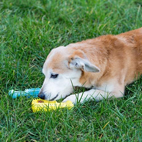 Youngever 2 Paket köpek bakımı Oyuncaklar için Pet Diş Temizleme, Çiğneme, Getirme, Tedavi Gıda Dağıtım Oyuncaklar (Küçük